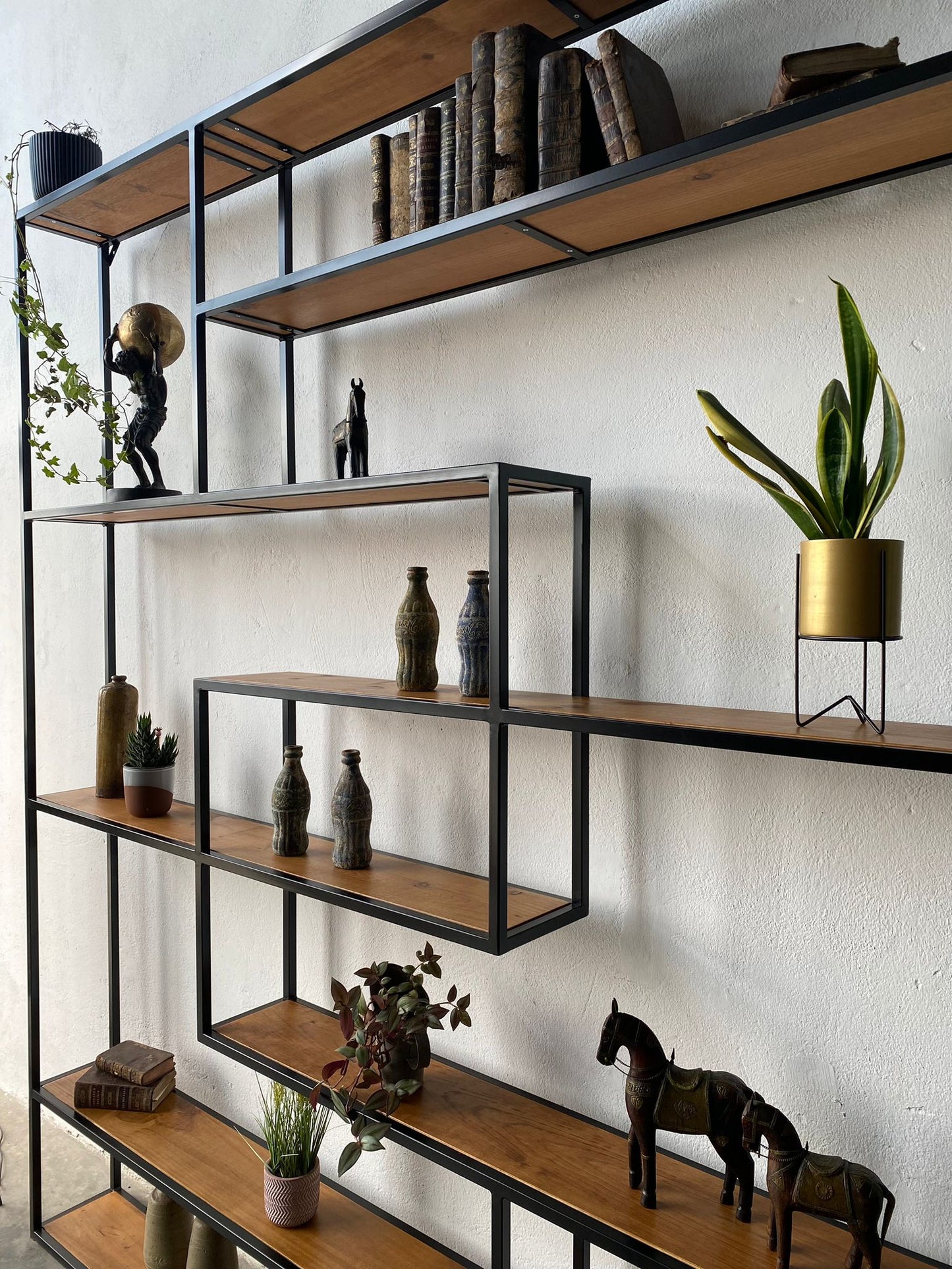 ASSANA bookshelf